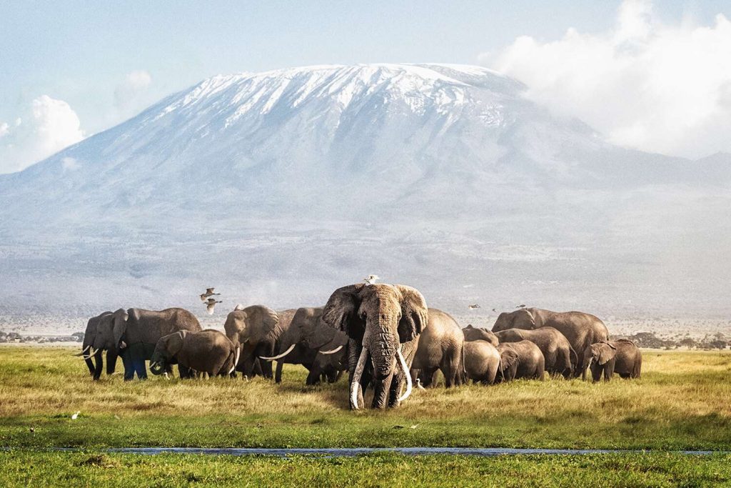 3 Days Safari Tsavo East Amboseli