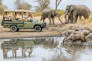 4 Days: Lake Manyara, Ngorongoro Crater and Tarangire