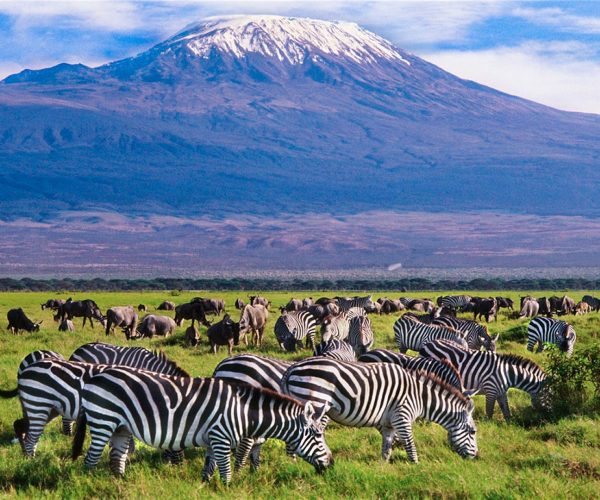 5 Days Safari Amboseli Tsavo West Tsavo East