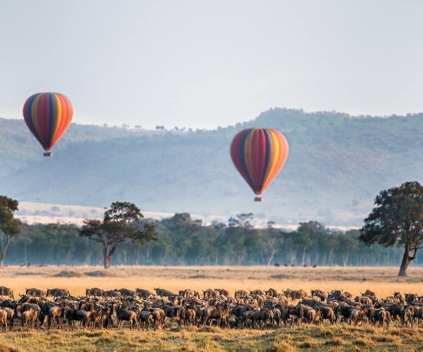 The Masai Mara Expedition Safari